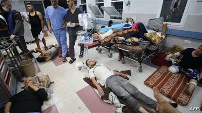 تصريح صادم من الصحة الفلسطينية: الكلاب الضالة تنهش الجثث بسبب تكدس الشهداء