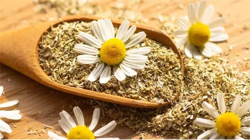 فوائد البابونج للنساء،