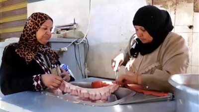 الست تقوى جزارة في إمبابة، ظروف الحياة أجبرتها على المهنة الرجالي، وشهرتها ساقت إليها زبائن من كل أنحاء القاهرة الكبرى (فيديو)