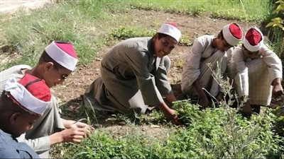 انطلاق فاعليات برنامج 