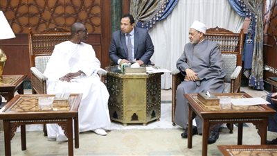 الإمام الأكبر يؤكد استعداد الأزهر لإنشاء مركز لتعليم اللغة العربية في السنغال 
