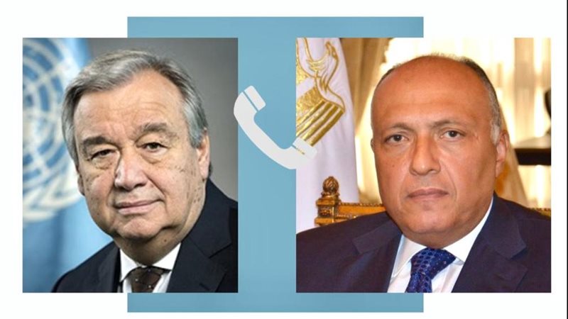 سامح شكري وزير الخارجية،