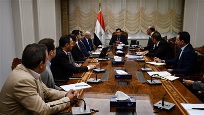 وزير الرياضة يبحث مع اللجنة العلمية تطوير المشروع القومي للموهبة والبطل الاولمبي