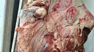 ضبط 12 طن لحوم ودواجن مذبوحة خارج المجازر بالقاهرة