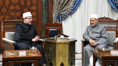 وزير الأوقاف ومفتي الجمهورية يدعمان مواقف شيخ الأزهر تجاه القضية الفلسطينية (صور)