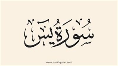 هل الأحاديث الواردة في فضل سورة يس صحيحة