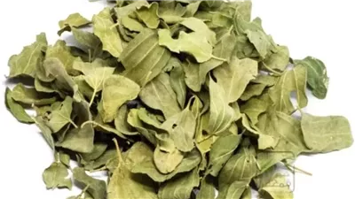 فوائد ورق السدر، لخفض الكوليسترول وتعزيز المناعة وللبشرة والشعر