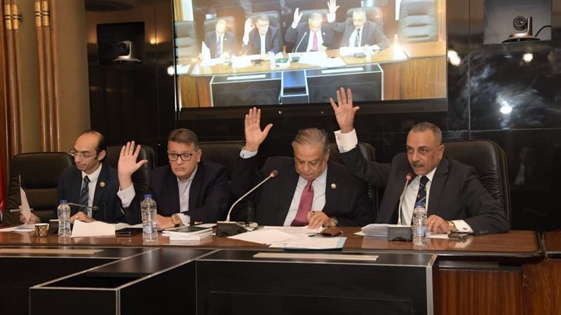 لجنة الشئون الدستورية