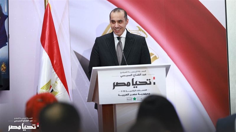 المستشار محمود فوزى