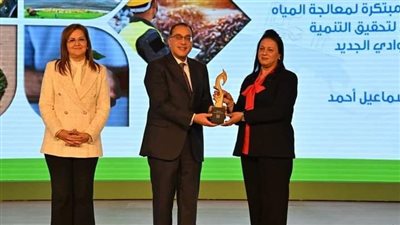 الوادي الجديد تحصد المركز الأول بفئتين من المبادرة الوطنية للمشروعات الخضراء الذكية