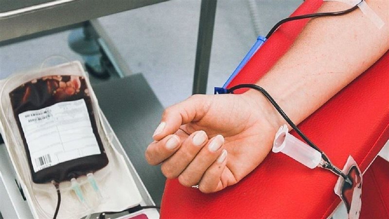 مجلس القبائل والعائلات