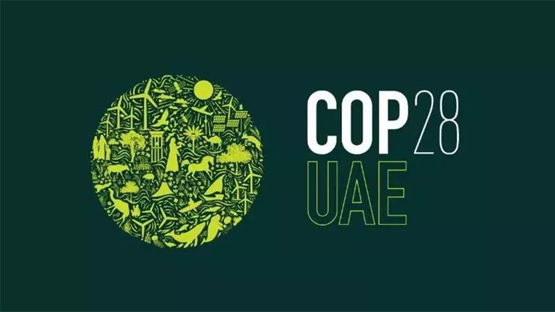 مؤتمر المناخ، فيتو