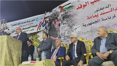 عبد السند يمامة: أمريكا ليست رب العالم والموقف العربي من العدوان على غزة لم يكن على المستوى المطلوب (فيديو وصور)