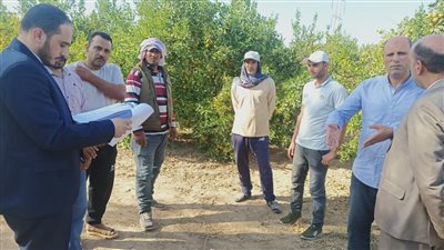 وزارة العمل: تسجيل وحصر جديد لعمالة غير منتظمة بالإسكندرية 