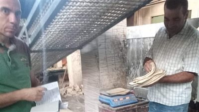 ضبط 8 مخابز بلدية وتحرير 18 محضرًا تموينيًا بالبحيرة (صور)