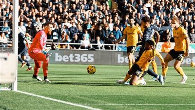 الدوري الإنجليزي، توتنهام يسقط أمام وولفرهامبتون بهدفين لهدف 