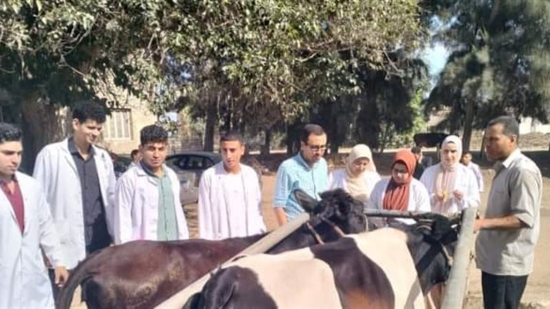 جانب من القافلة السكانية