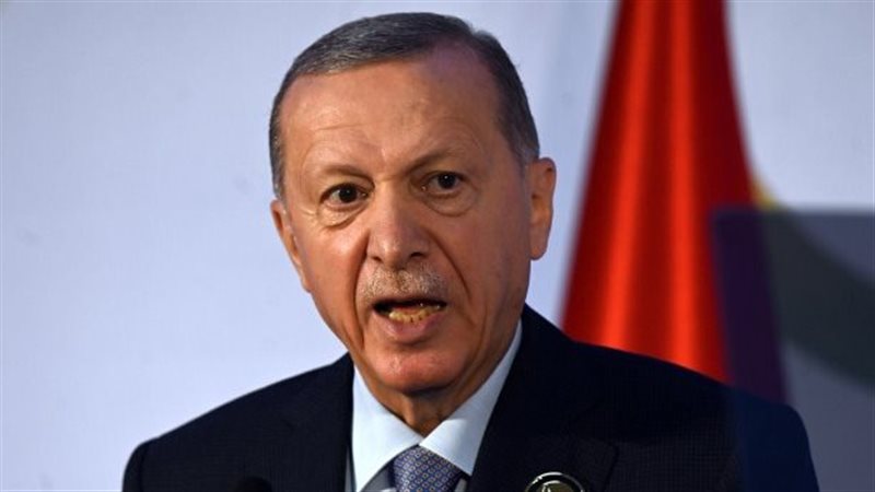 أردوغان، فيتو