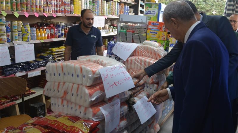 محافظ القليوبية يتابع