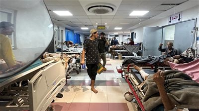 الصحة العالمية: 500 ألف امرأة حامل وطفل في غزة يعانون من الأوبئة والأمراض المعدية (فيديو)