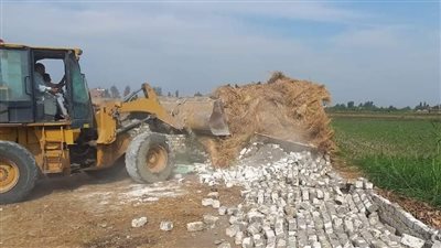 إزالة 60 حالة تعد على مساحة 9400 متر بالبحيرة (صور)