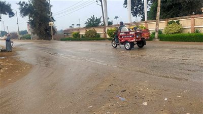 امطار وطقس غير مستقر بالقليوبية (صور )