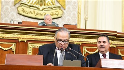 العقوبات ليست الحل الوحيد، مطالب برلمانية ببرامج توعية لمواجهة التحرش