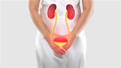 الرغبة المتكررة في التبول علامة للإصابة بالتهاب المثانة، وهذه أسبابها