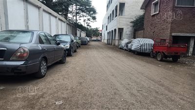 أمطار خفيفة وغيوم في بني سويف، والمحافظة تستعد لتقلبات الطقس