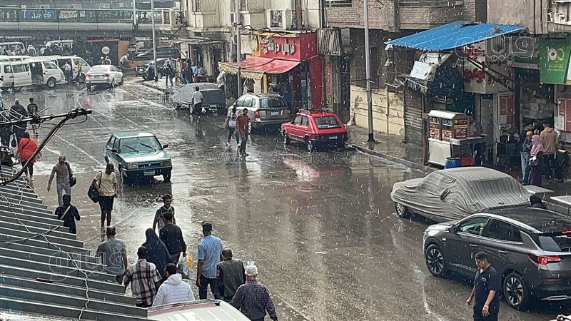 حالة الطقس غدا، فيتو