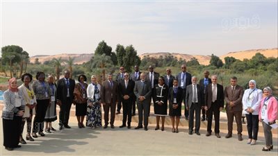 محافظ أسوان يفتتح فعاليات الاجتماع الثاني للجان الوكالة الإفريقية 