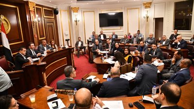 صناعة النواب توصي بحل إشكاليات محجر وادي العلاقي بأسوان