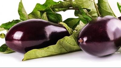 الباذنجان كبسولة مكملات غذائية متكاملة لذا قدميه لصغارك يوميا 