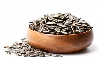 فوائد اللب السوري، يحمي من الزهايمر والشيخوخة ويحسن المزاج ويقوي المناعة 