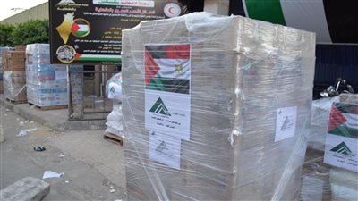نقابة المهندسين بالدقهلية ترسل 25 طن مساعدات إلى غزة 