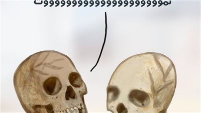 الوضع في غزة في كاريكاتير فيتو