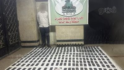 حبس عاطل لحيازته 8 طرب حشيش بالإسماعيلية