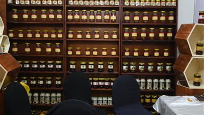 تعرف على الأسعار في مهرجان العسل المصري بأرض المعارض (فيديو وصور)