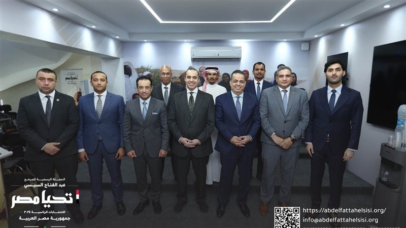 حملة السيسي، فيتو