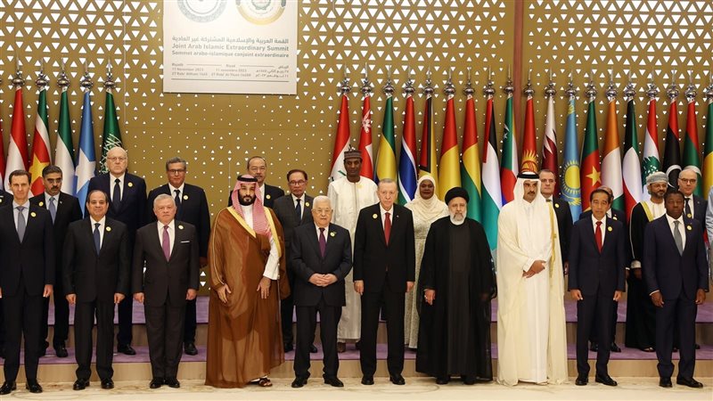 القمة العربية،فيتو