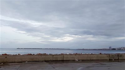 سقوط أمطار متوسطة على الإسكندرية (صور)