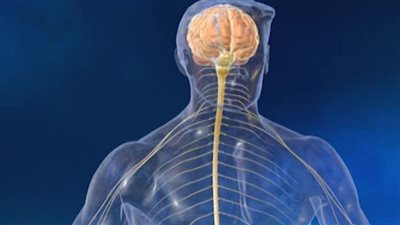 أعراض مرض التصلب الجانبي الضموري وأسباب الإصابة به