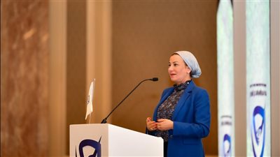 وزيرة البيئة: وفاة 250 ألف شخص سنويا بسبب الظروف المناخية