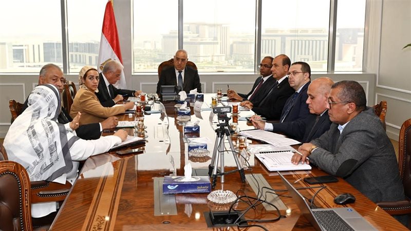 د. عاصم الجزار وزير