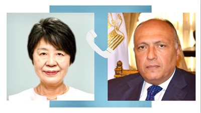 سامح شكري يؤكد لوزيرة خارجية اليابان رفض مصر القاطع لكافة محاولات تهجير الفلسطينيين