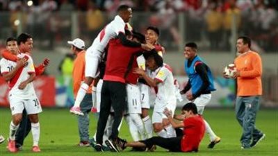 أصاب الجميع بالفزع، لحظة سقوط الحكم المساعد في كوبا أمريكا (فيديو)