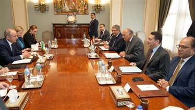 بدء جلسة مباحثات موسعة بين مصر وأيرلندا (صور)