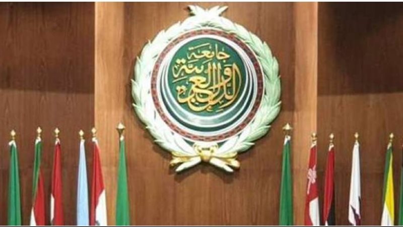 جامعة الدول العربية،فيتو