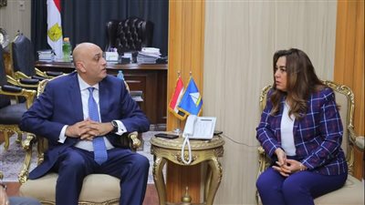 محافظ دمياط تبحث مع رئيس جهاز تنمية المشروعات التعاون المشترك