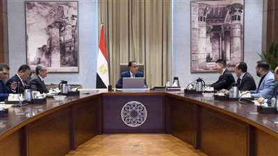 مدبولي يلتقي رئيس شركة لونجي الصينية الرائدة في تكنولوجيا الطاقة الشمسية